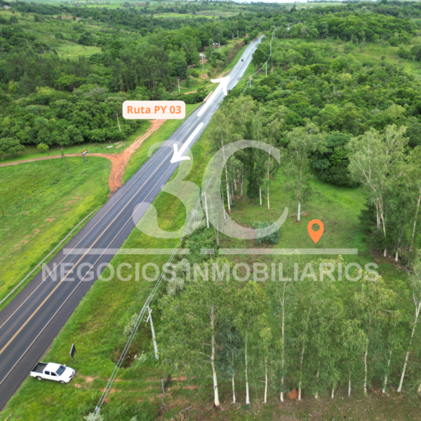 Propiedad de 4 hectáreas Curuguaty - Imagen 5