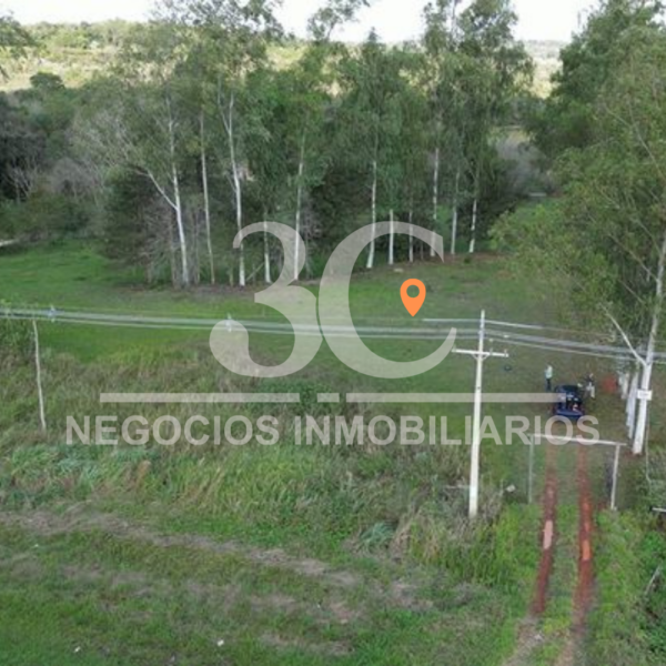 Propiedad de 4 hectáreas Curuguaty - Imagen 6