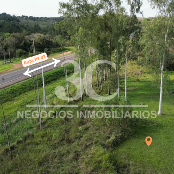 Propiedad de 4 hectáreas Curuguaty - Imagen 3